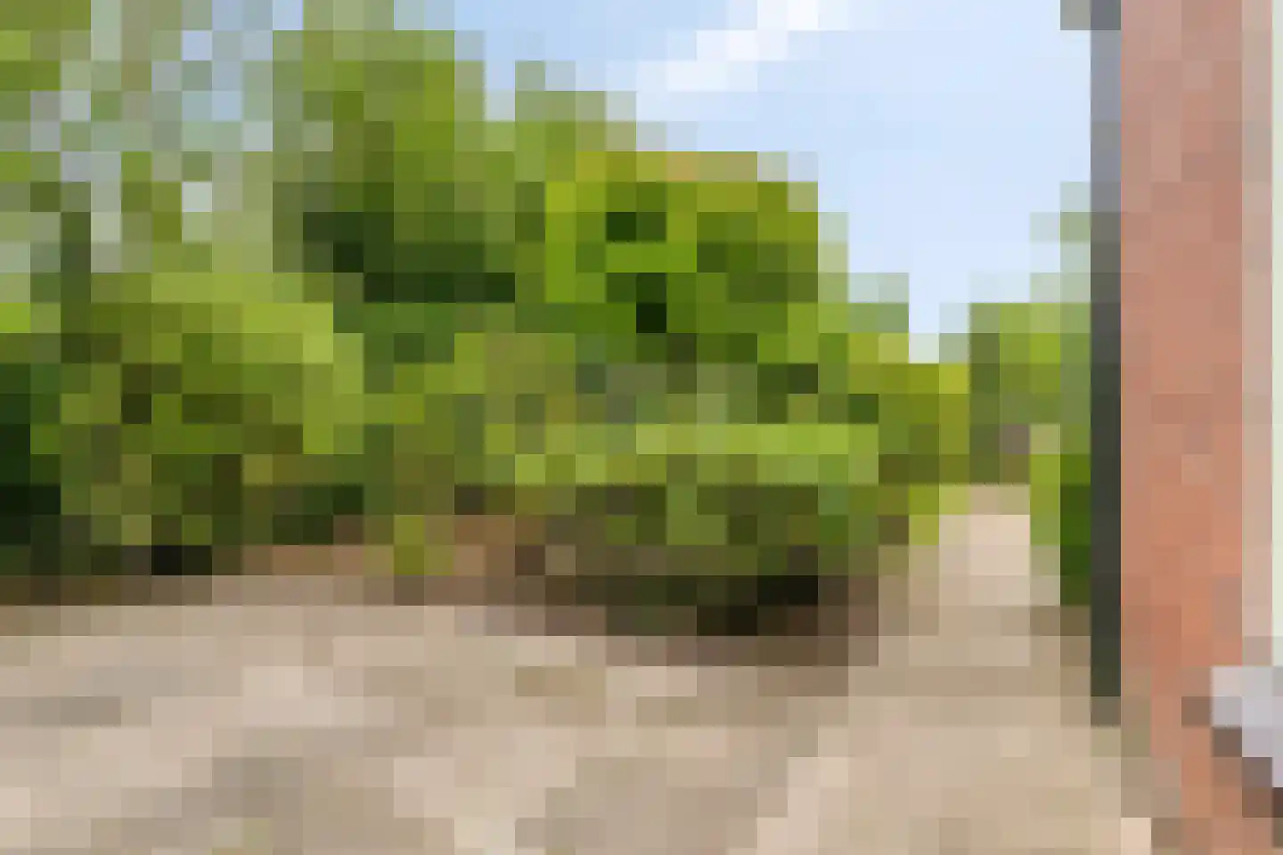Blaaksedijk Oost 57 Heinenoord thumbnail 41