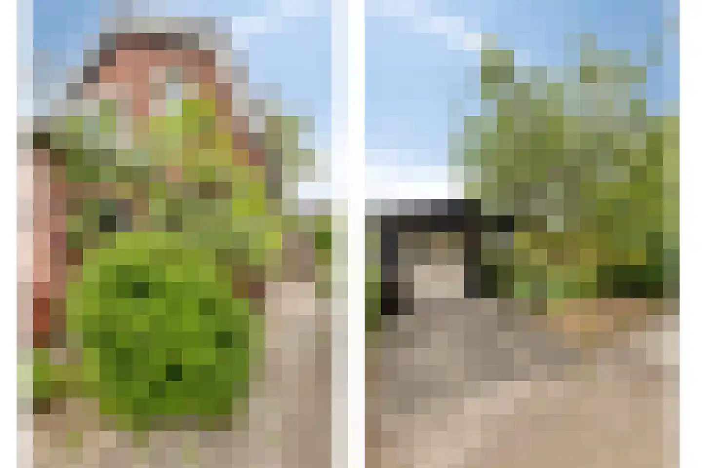 Blaaksedijk Oost 57 Heinenoord thumbnail 44