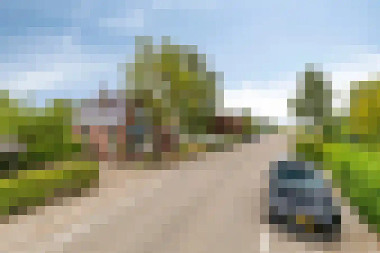 Blaaksedijk Oost 57 Heinenoord thumbnail 45