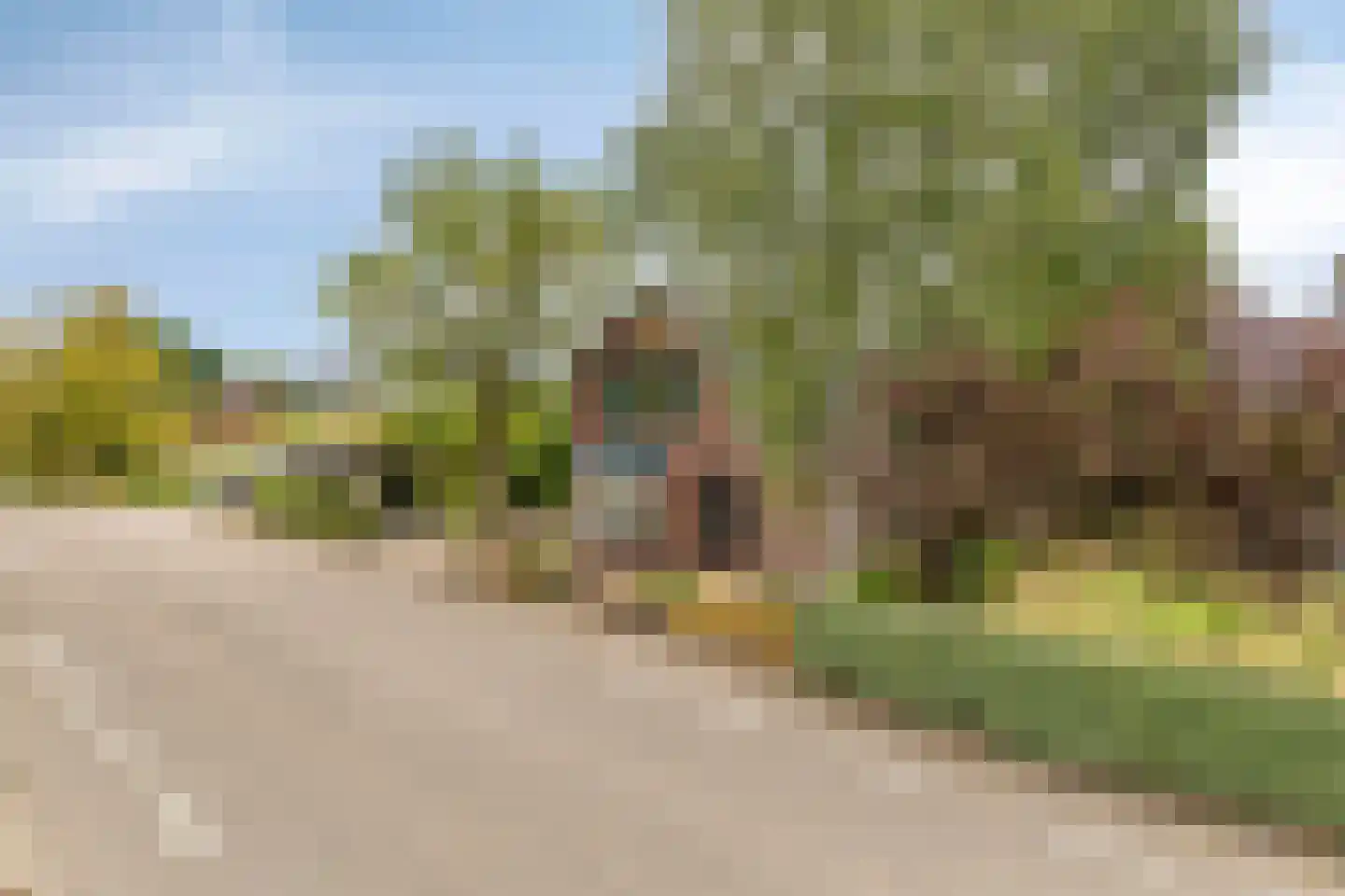 Blaaksedijk Oost 57 Heinenoord thumbnail 47