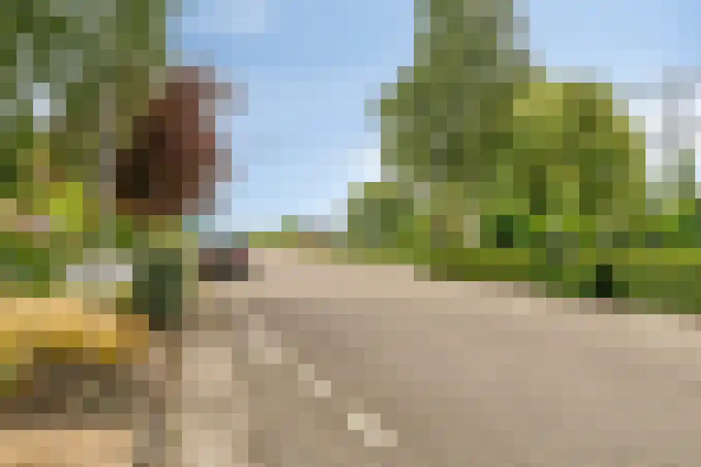 Blaaksedijk Oost 57 Heinenoord thumbnail 48