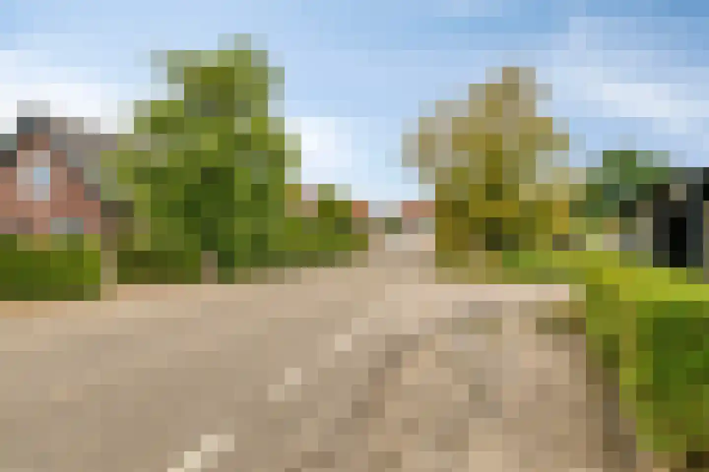 Blaaksedijk Oost 57 Heinenoord thumbnail 49