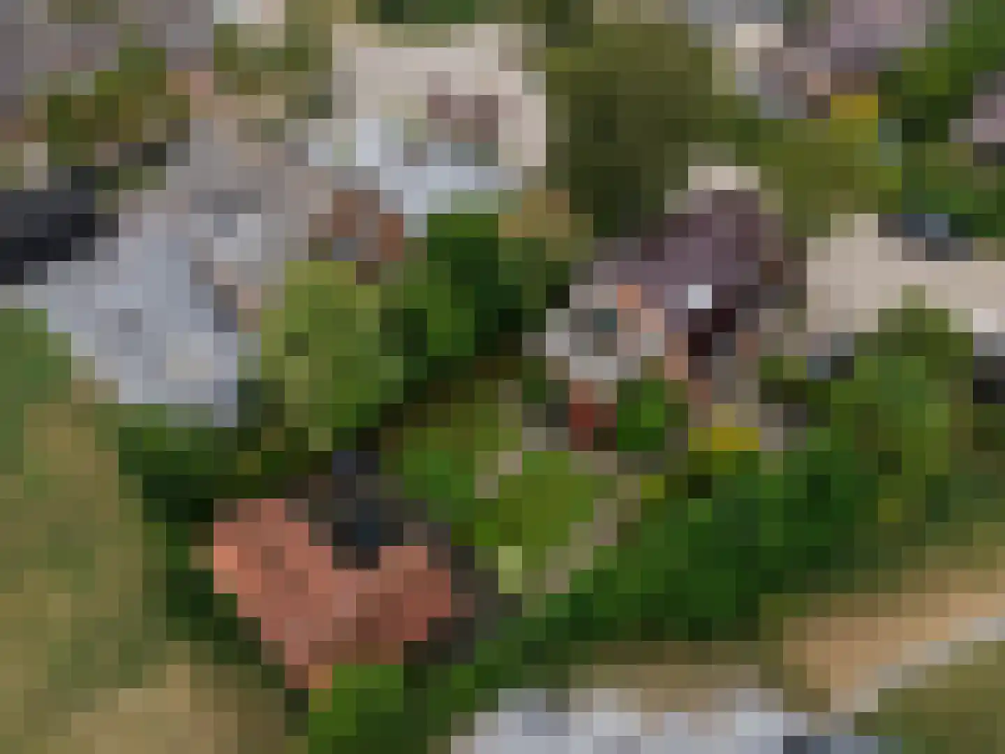 Blaaksedijk Oost 57 Heinenoord thumbnail 51