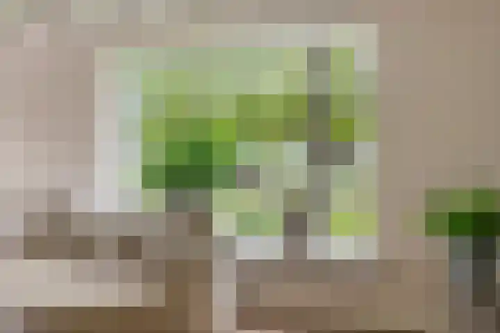 Blaakweg 16 A Harskamp thumbnail 16