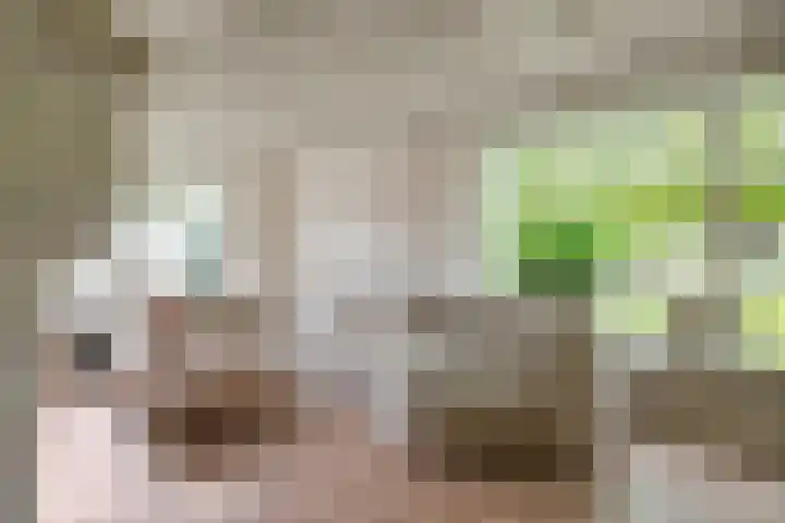 Blaakweg 16 A Harskamp thumbnail 17