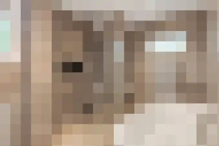 Blaakweg 16 A Harskamp thumbnail 25