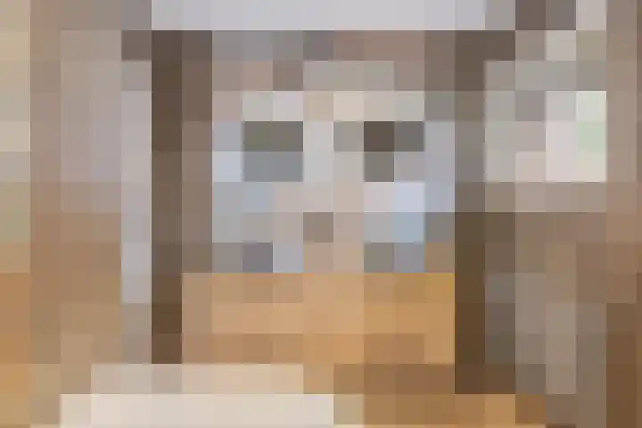 Blaakweg 16 A Harskamp thumbnail 27