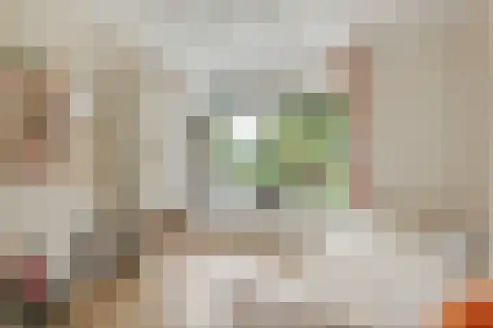 Blaakweg 16 A Harskamp thumbnail 31