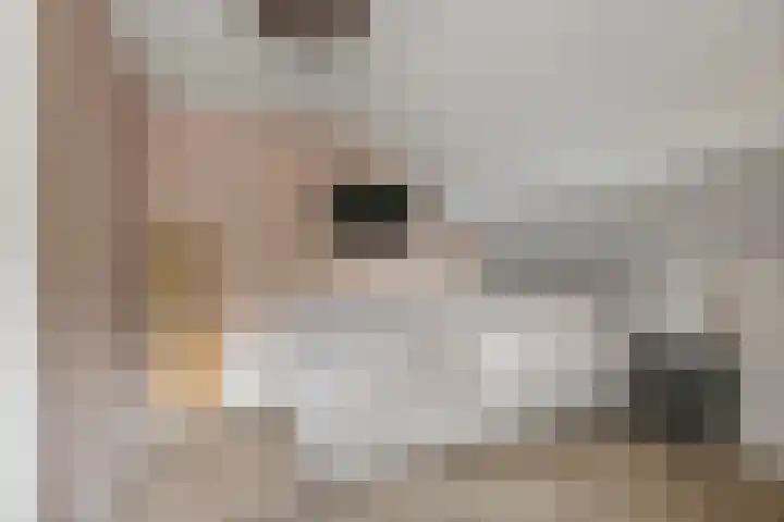 Blaakweg 16 A Harskamp thumbnail 35