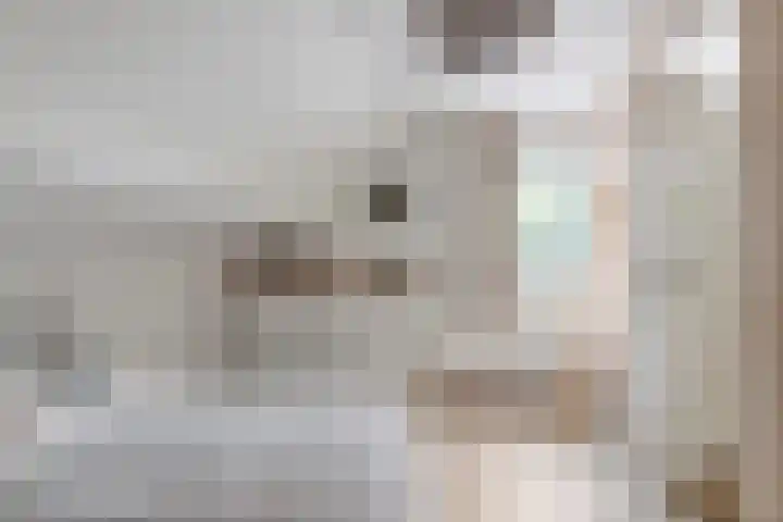Blaakweg 16 A Harskamp thumbnail 36