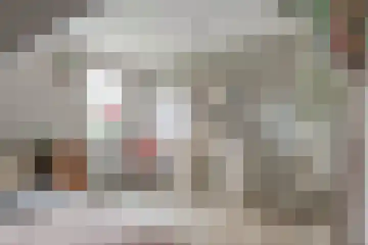 Blaakweg 16 A Harskamp thumbnail 39