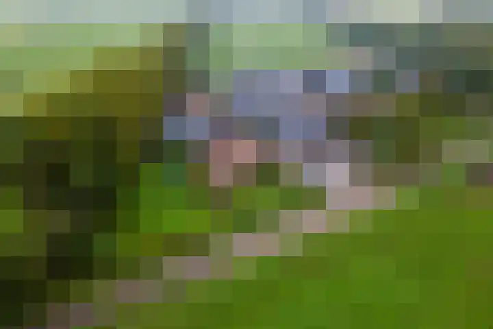 Blaakweg 16 A Harskamp thumbnail 4