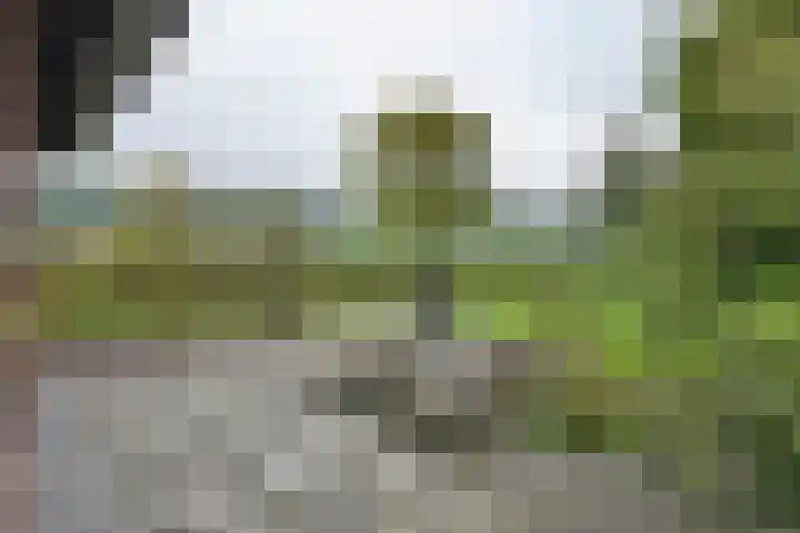 Blaakweg 16 A Harskamp thumbnail 42