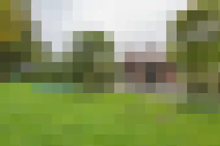 Blaakweg 16 A Harskamp thumbnail 43
