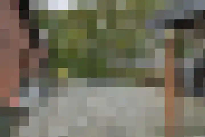 Blaakweg 16 A Harskamp thumbnail 44