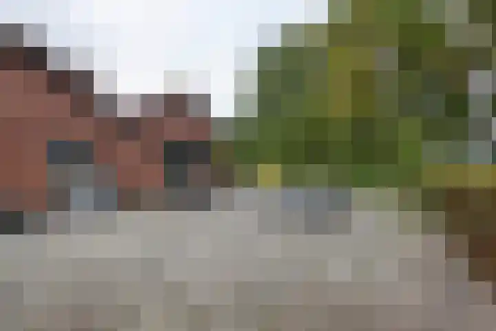 Blaakweg 16 A Harskamp thumbnail 45