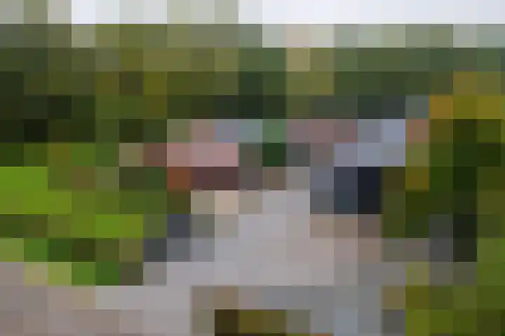Blaakweg 16 A Harskamp thumbnail 5