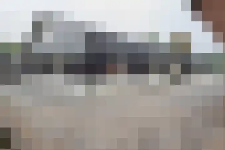 Blaakweg 16 A Harskamp thumbnail 51