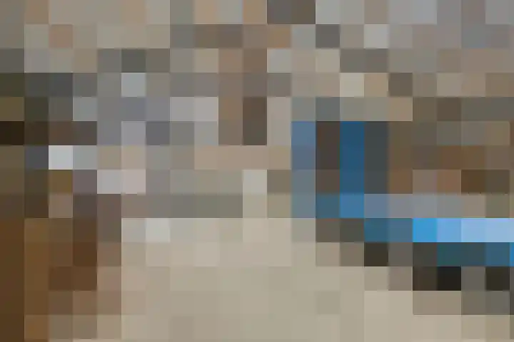Blaakweg 16 A Harskamp thumbnail 54
