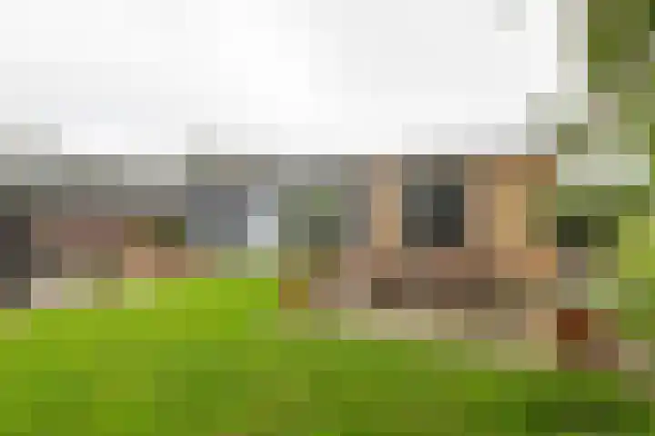 Blaakweg 16 A Harskamp thumbnail 59