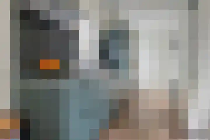 Blaakweg 16 A Harskamp thumbnail 61