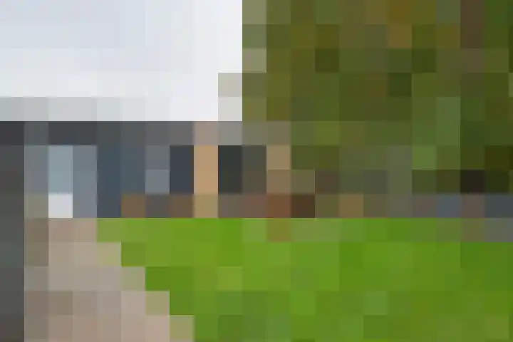 Blaakweg 16 A Harskamp thumbnail 64