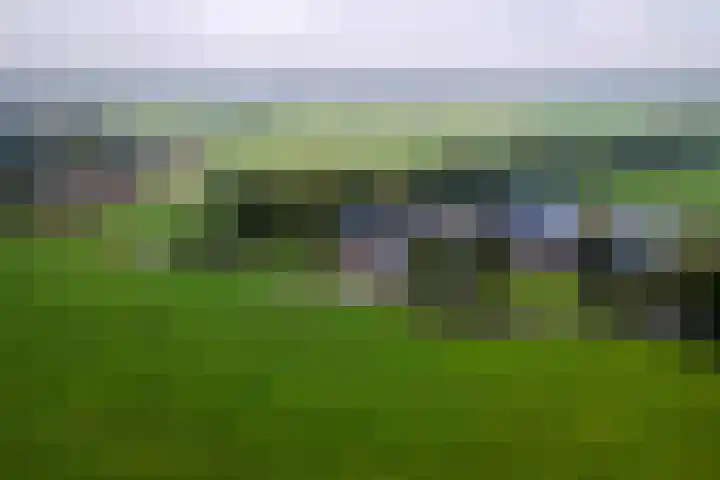Blaakweg 16 A Harskamp thumbnail 66