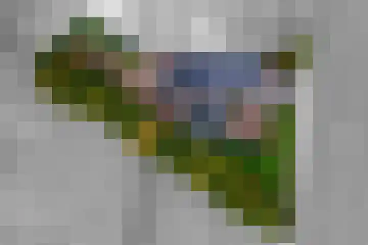 Blaakweg 16 A Harskamp thumbnail 67