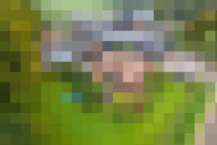 Blaakweg 16 A Harskamp thumbnail 68