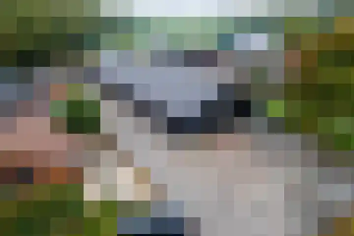 Blaakweg 16 A Harskamp thumbnail 69