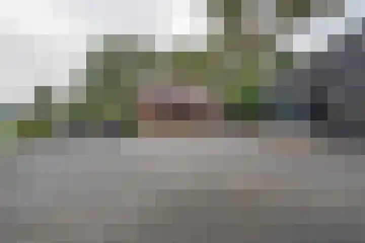 Blaakweg 16 A Harskamp thumbnail 7
