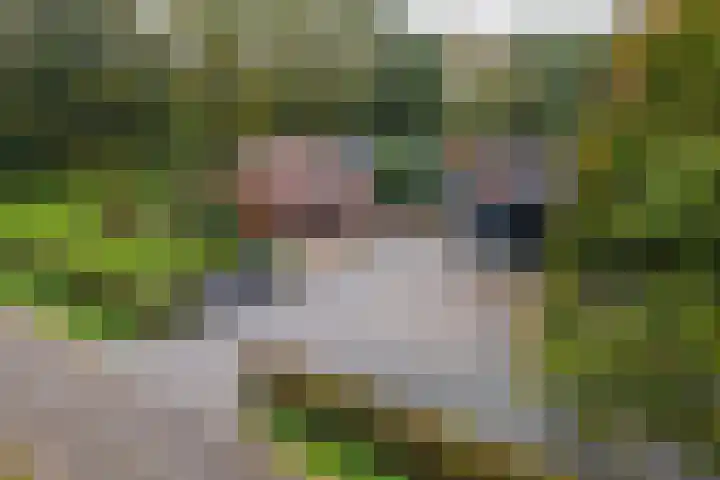 Blaakweg 16 A Harskamp thumbnail 70
