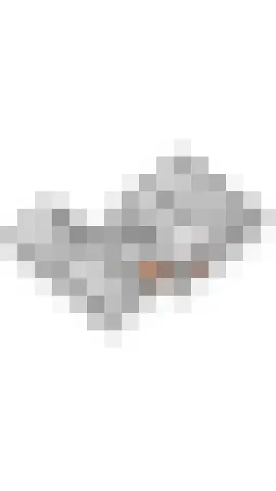 Blaakweg 16 A Harskamp thumbnail 74