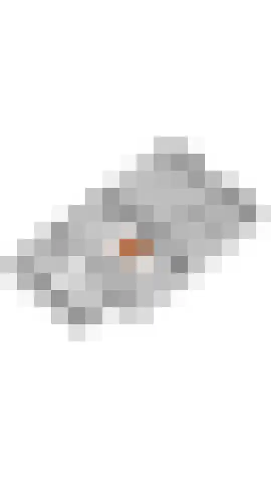 Blaakweg 16 A Harskamp thumbnail 76