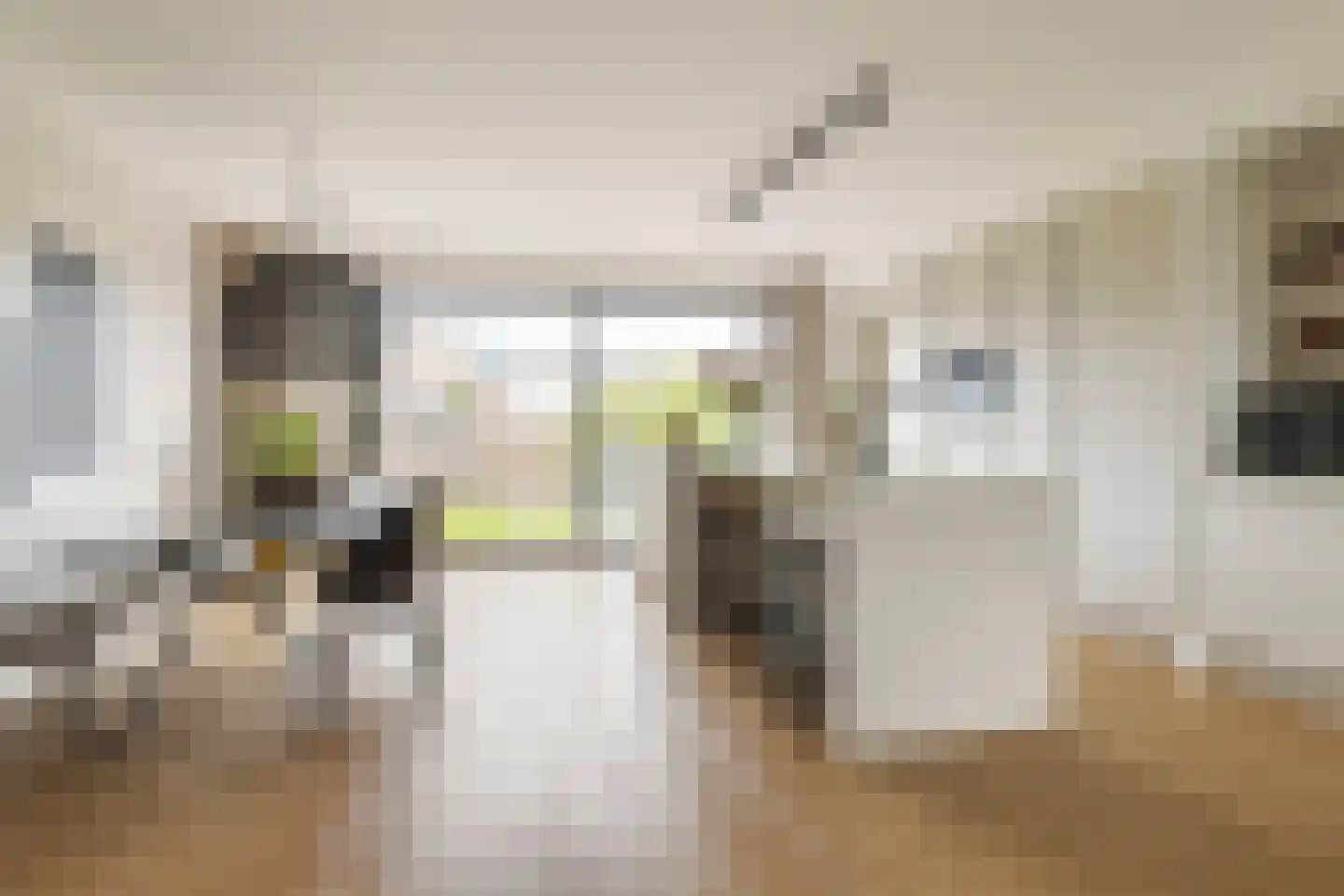 Blaarkop 1 Meerstad thumbnail 17