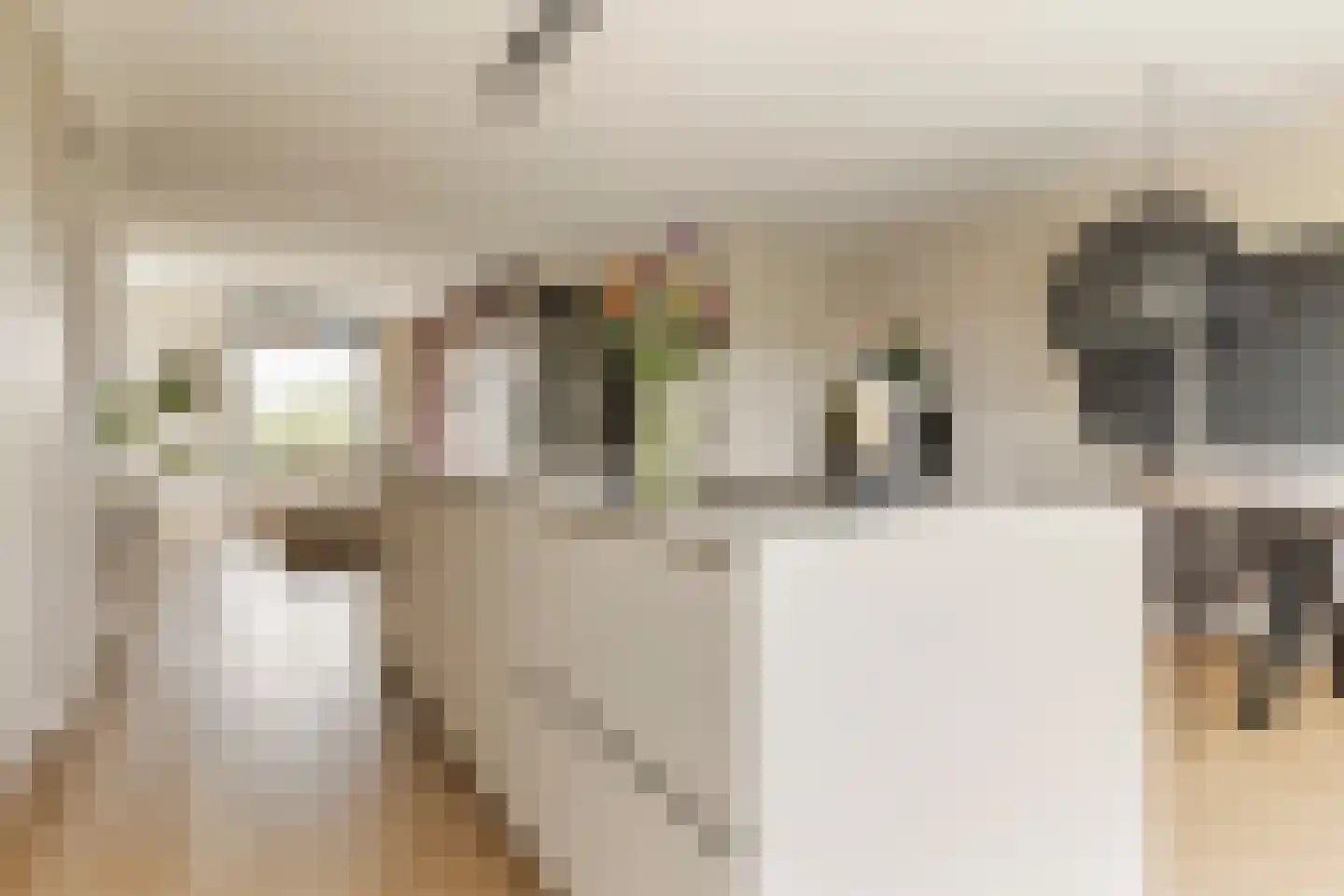 Blaarkop 1 Meerstad thumbnail 20