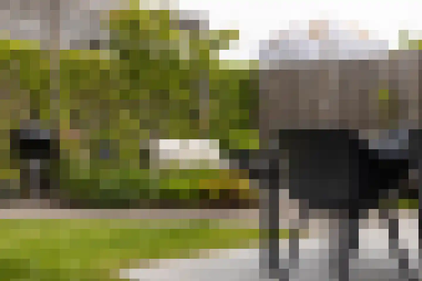 Blaarkop 1 Meerstad thumbnail 40