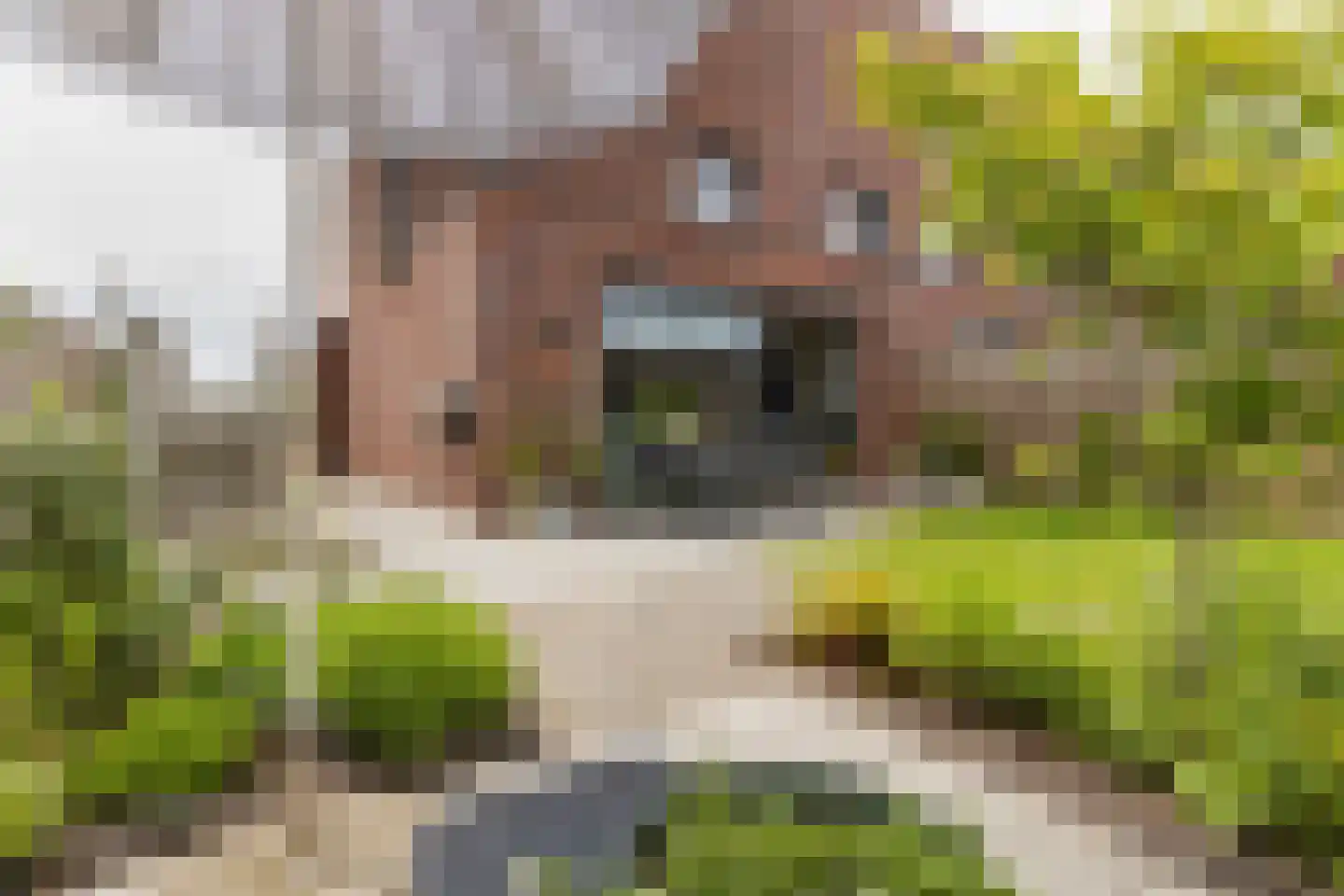 Blaarkop 1 Meerstad thumbnail 43