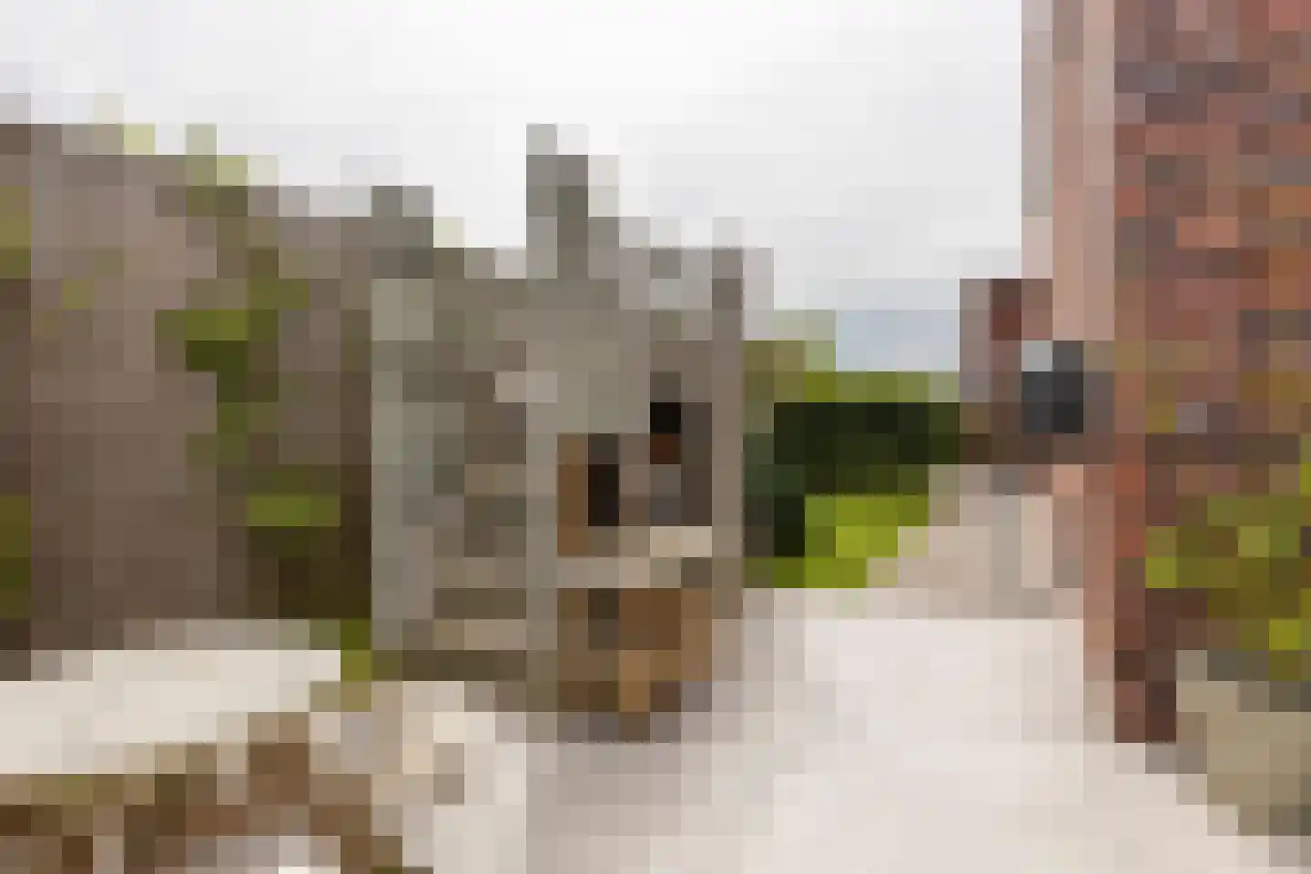 Blaarkop 1 Meerstad thumbnail 44