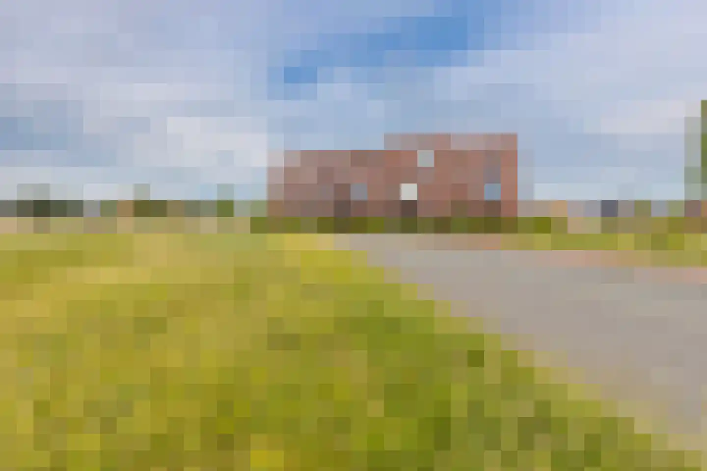 Blaarkop 1 Meerstad thumbnail 8