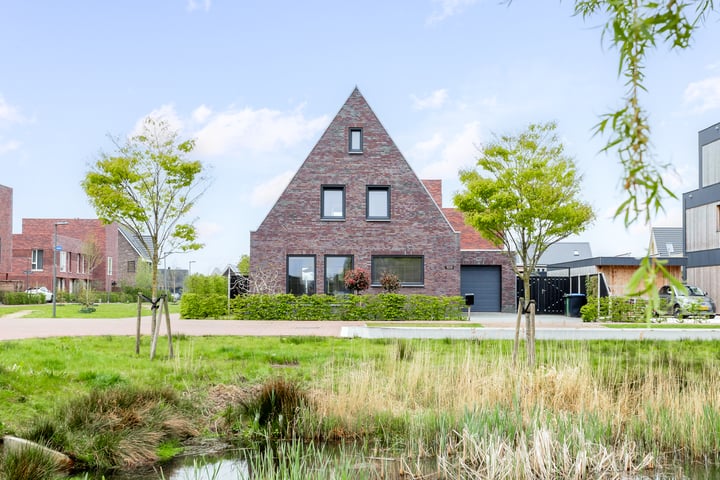 Blaarkop 109 en Meerstad foto