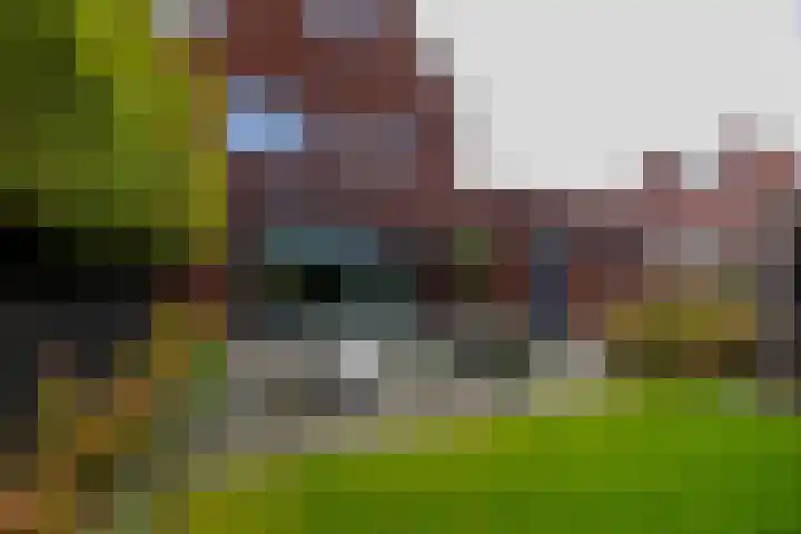 Blaarkop 119 Meerstad thumbnail 43