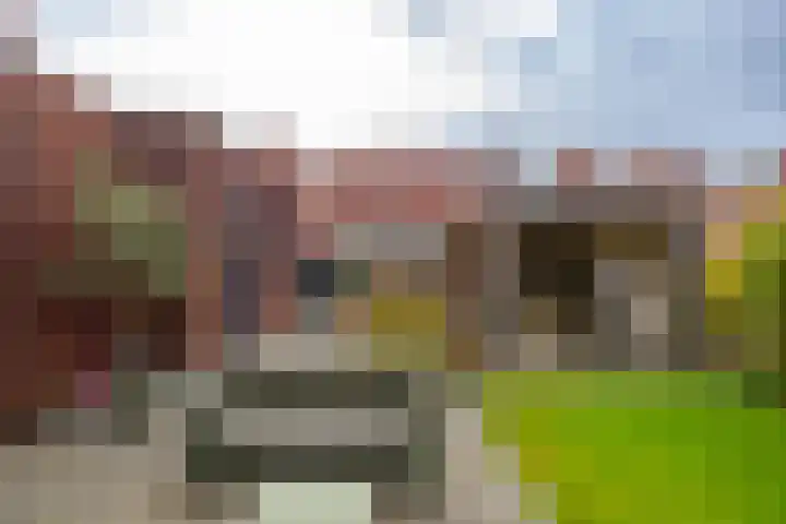 Blaarkop 119 Meerstad thumbnail 44