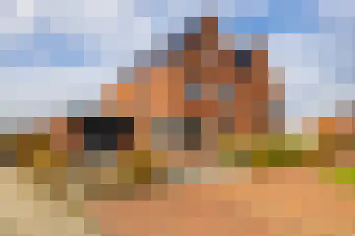 Blaarkop 119 Meerstad thumbnail 48