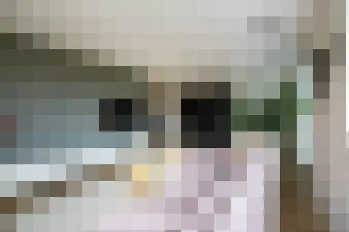 Blaarkop 119 Meerstad thumbnail 8