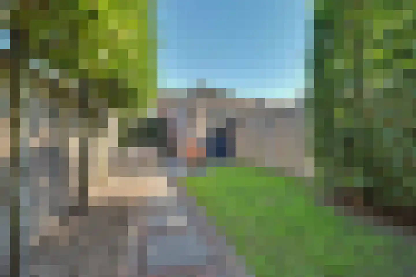 Blaarkop 17 Hapert thumbnail 31