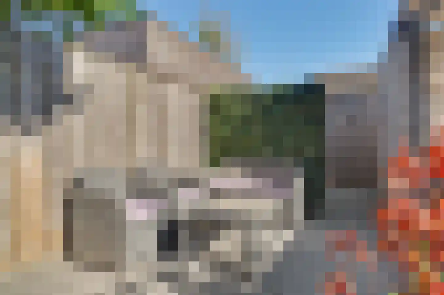Blaarkop 17 Hapert thumbnail 33