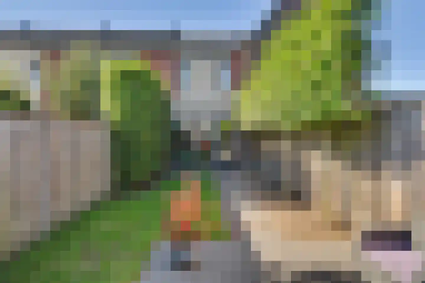 Blaarkop 17 Hapert thumbnail 36