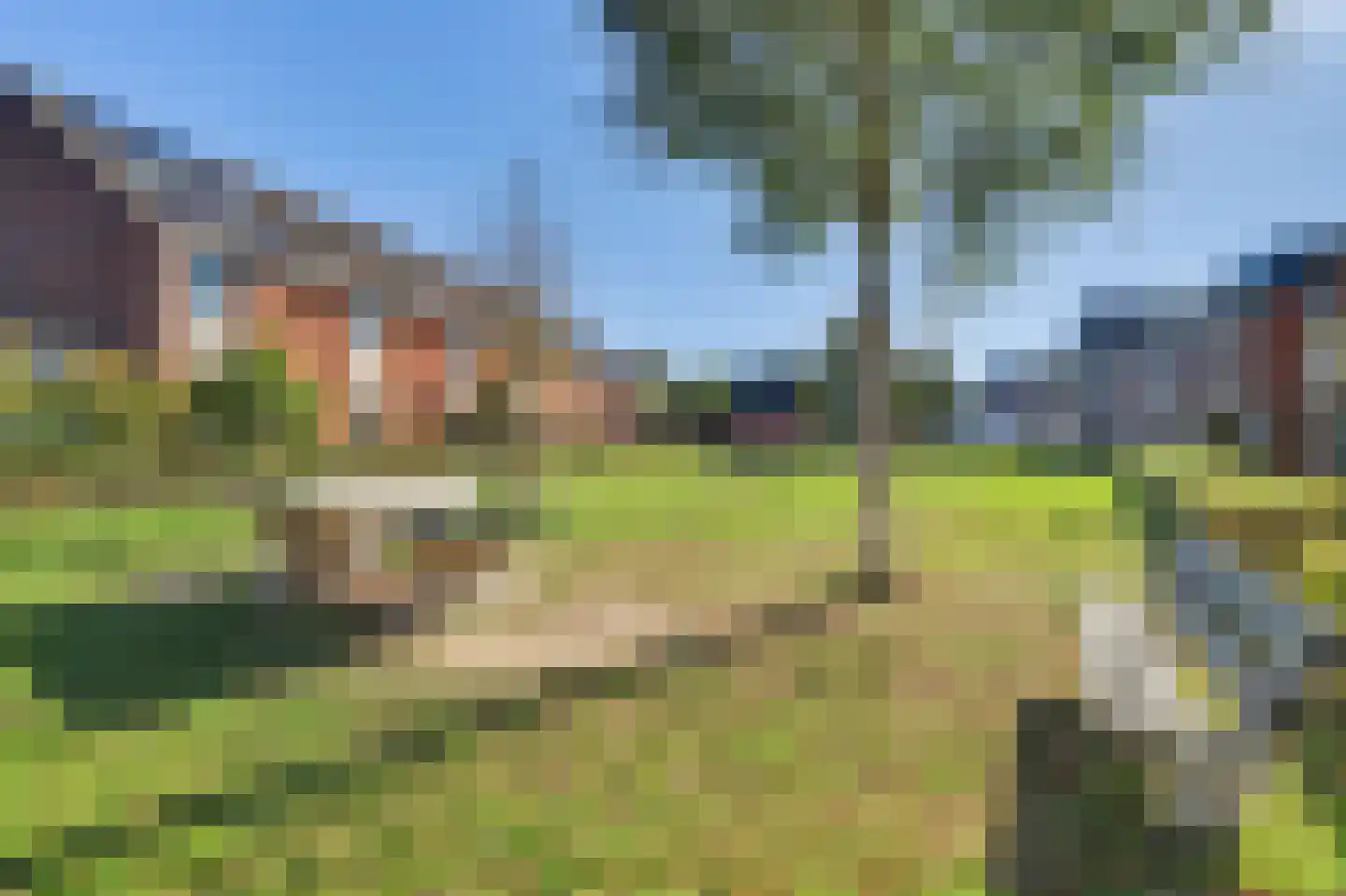 Blaarkop 17 Hapert thumbnail 40