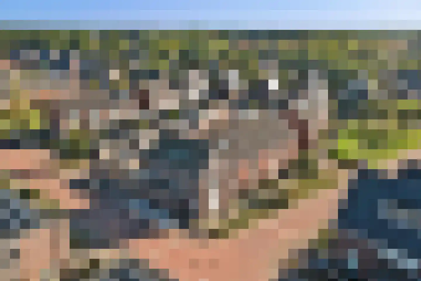 Blaarkop 17 Hapert thumbnail 41